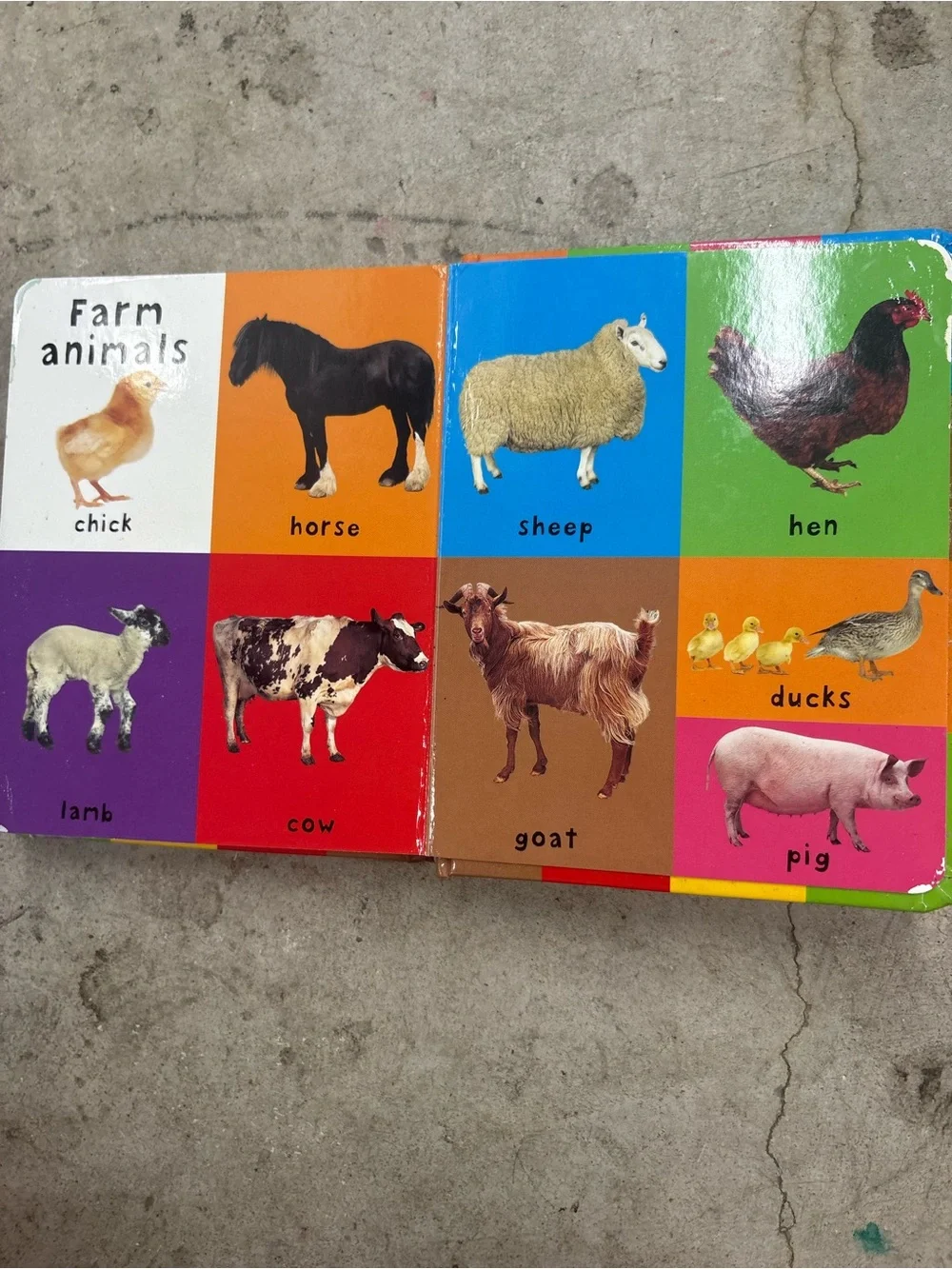Priddy Books First 100 Words Padded Board Book Illustrated Early Learning 2011